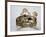 Diadem of a Priest, First Half of 1st Century Ad-null-Framed Photographic Print