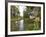 Diademed Sifaka Looking Down from Tree, Madagascar-Edwin Giesbers-Framed Photographic Print