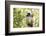 Diademed Sifaka (Propithecus Diadema), a Large Lemur in Perinet Reserve-Matthew Williams-Ellis-Framed Photographic Print