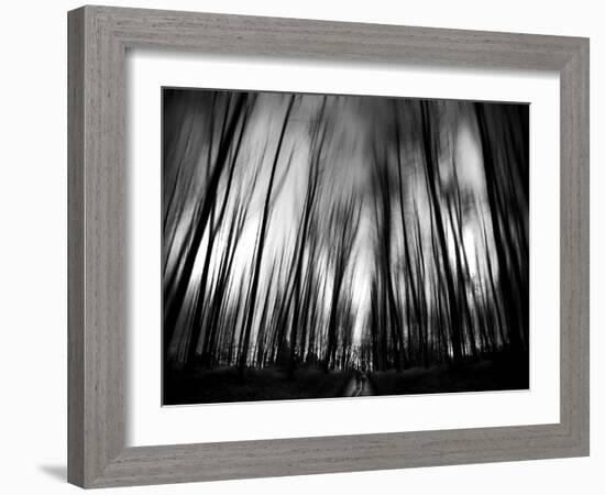 Diagona-Josh Adamski-Framed Photographic Print