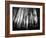 Diagona-Josh Adamski-Framed Photographic Print