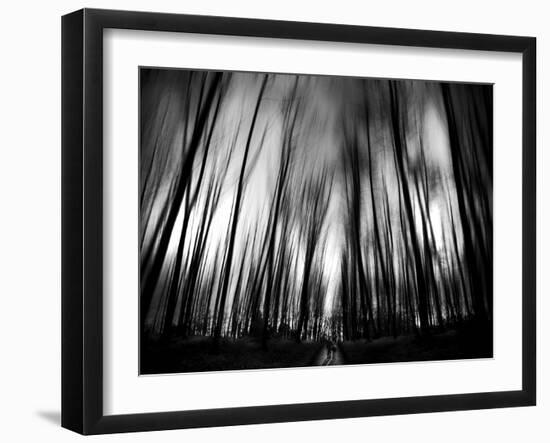 Diagona-Josh Adamski-Framed Photographic Print