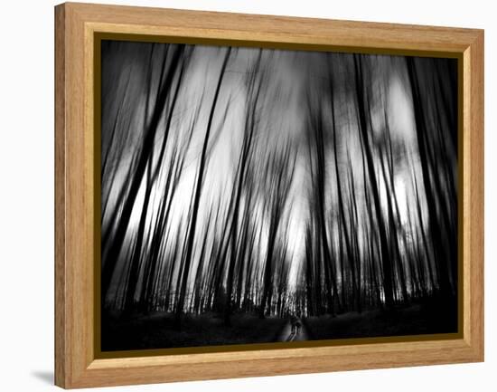 Diagona-Josh Adamski-Framed Premier Image Canvas