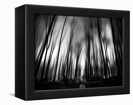 Diagona-Josh Adamski-Framed Premier Image Canvas