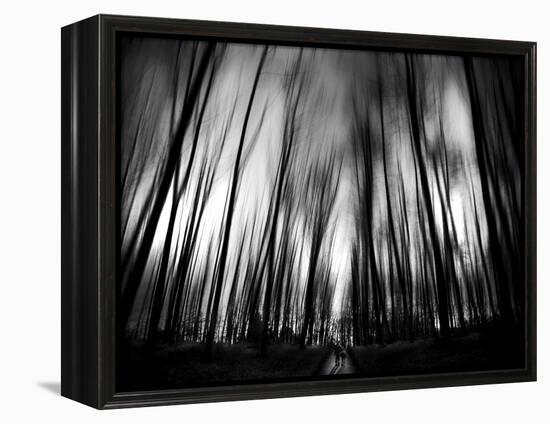 Diagona-Josh Adamski-Framed Premier Image Canvas