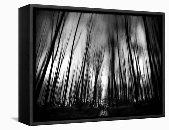 Diagona-Josh Adamski-Framed Premier Image Canvas