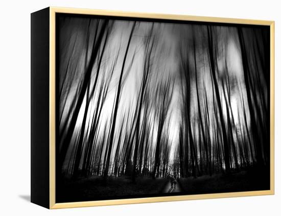 Diagona-Josh Adamski-Framed Premier Image Canvas