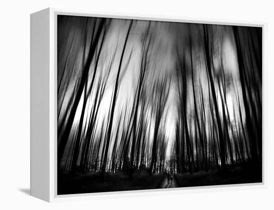 Diagona-Josh Adamski-Framed Premier Image Canvas