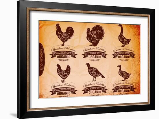 Diagram Cut Carcasses Chicken, Turkey, Goose, Duck-111chemodan111-Framed Art Print