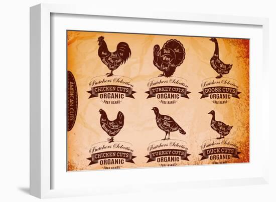 Diagram Cut Carcasses Chicken, Turkey, Goose, Duck-111chemodan111-Framed Art Print