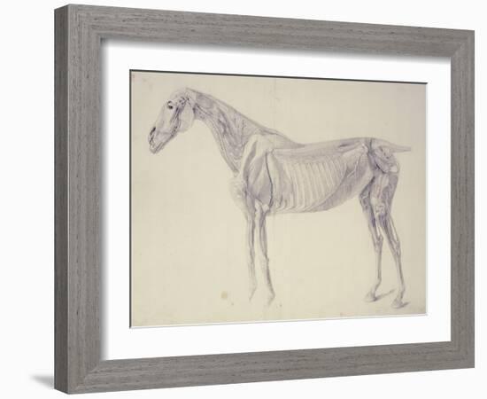 Diagram from 'The Anatomy of the Horse' (Engraving)-George Stubbs-Framed Giclee Print