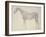 Diagram from 'The Anatomy of the Horse' (Engraving)-George Stubbs-Framed Giclee Print