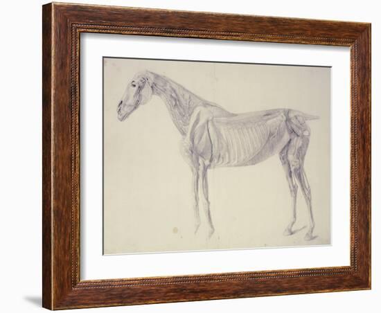 Diagram from 'The Anatomy of the Horse' (Engraving)-George Stubbs-Framed Giclee Print