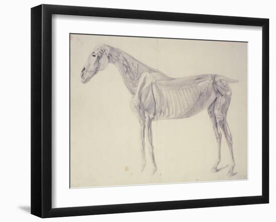 Diagram from 'The Anatomy of the Horse' (Engraving)-George Stubbs-Framed Giclee Print