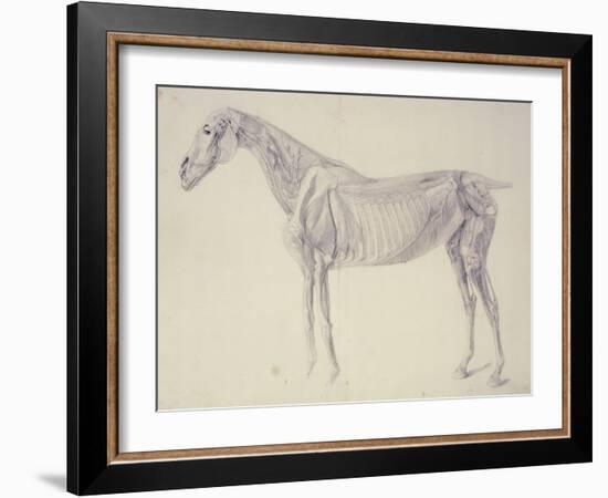 Diagram from 'The Anatomy of the Horse' (Engraving)-George Stubbs-Framed Giclee Print