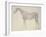 Diagram from 'The Anatomy of the Horse' (Engraving)-George Stubbs-Framed Giclee Print