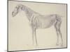 Diagram from 'The Anatomy of the Horse' (Engraving)-George Stubbs-Mounted Giclee Print
