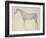 Diagram from 'The Anatomy of the Horse' (Engraving)-George Stubbs-Framed Giclee Print