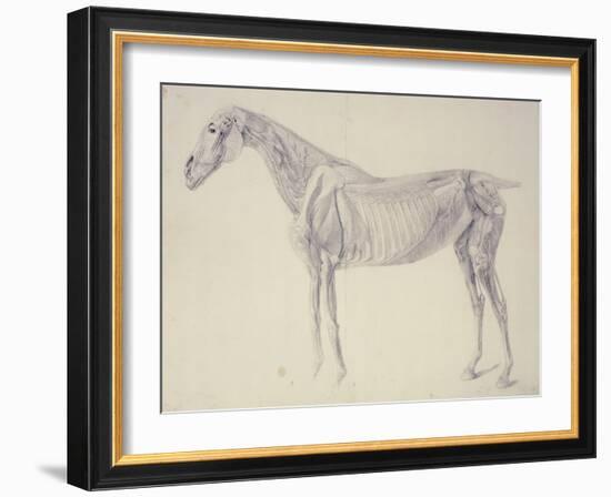 Diagram from 'The Anatomy of the Horse' (Engraving)-George Stubbs-Framed Giclee Print