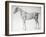 Diagram from The Anatomy of the Horse-George Stubbs-Framed Giclee Print