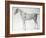 Diagram from The Anatomy of the Horse-George Stubbs-Framed Giclee Print