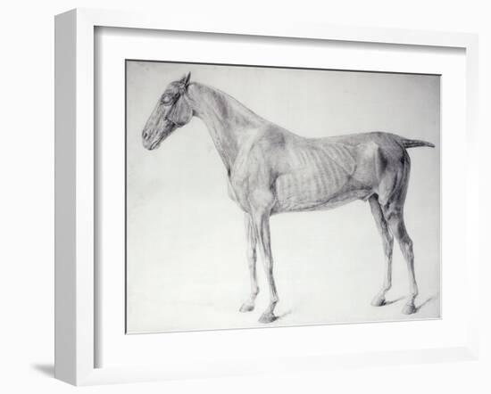 Diagram from The Anatomy of the Horse-George Stubbs-Framed Giclee Print