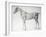 Diagram from The Anatomy of the Horse-George Stubbs-Framed Giclee Print