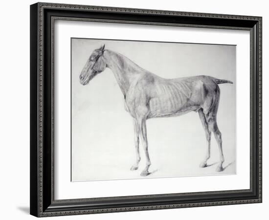 Diagram from The Anatomy of the Horse-George Stubbs-Framed Giclee Print