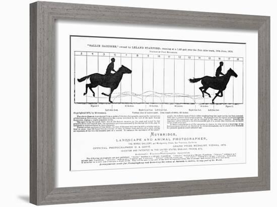 Diagram of a Horse in Motion-Eadweard Muybridge-Framed Giclee Print