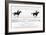 Diagram of a Horse in Motion-Eadweard Muybridge-Framed Giclee Print
