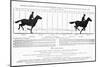 Diagram of a Horse in Motion-Eadweard Muybridge-Mounted Giclee Print