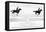 Diagram of a Horse in Motion-Eadweard Muybridge-Framed Premier Image Canvas