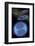 Diagram of Solar System and Oort Cloud-null-Framed Photographic Print