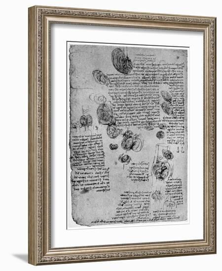 Diagram of the Blood Vortex in the Heart, Late 15th or Early 16th Century-Leonardo da Vinci-Framed Giclee Print