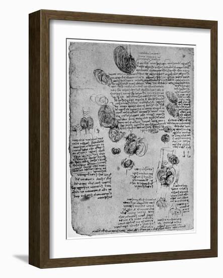 Diagram of the Blood Vortex in the Heart, Late 15th or Early 16th Century-Leonardo da Vinci-Framed Giclee Print