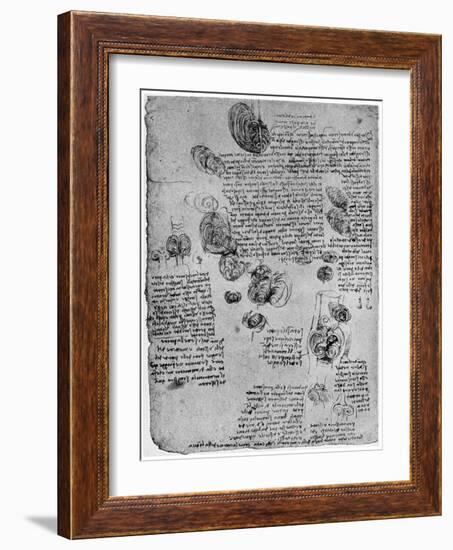 Diagram of the Blood Vortex in the Heart, Late 15th or Early 16th Century-Leonardo da Vinci-Framed Giclee Print