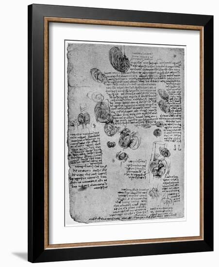 Diagram of the Blood Vortex in the Heart, Late 15th or Early 16th Century-Leonardo da Vinci-Framed Giclee Print