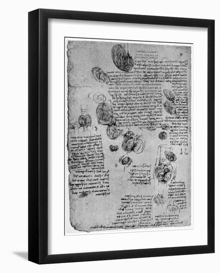 Diagram of the Blood Vortex in the Heart, Late 15th or Early 16th Century-Leonardo da Vinci-Framed Giclee Print