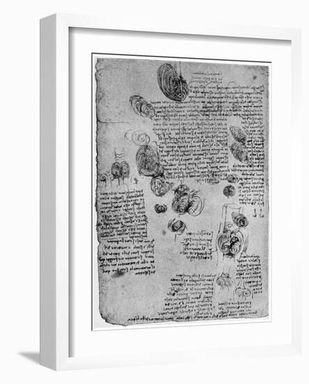 Diagram of the Blood Vortex in the Heart, Late 15th or Early 16th Century-Leonardo da Vinci-Framed Giclee Print