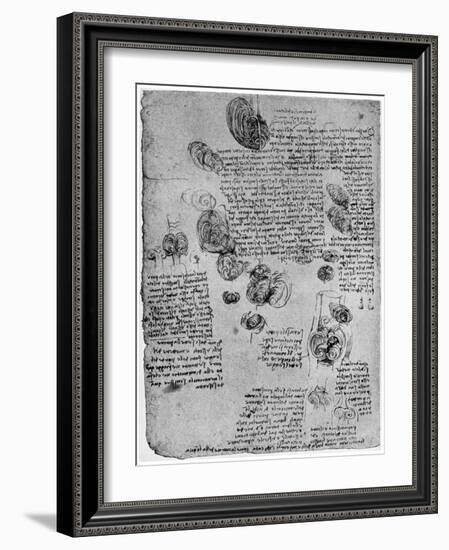 Diagram of the Blood Vortex in the Heart, Late 15th or Early 16th Century-Leonardo da Vinci-Framed Giclee Print