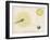 Diagram Showing an Eclipse of Jupiter's Satellites-Charles F. Bunt-Framed Art Print