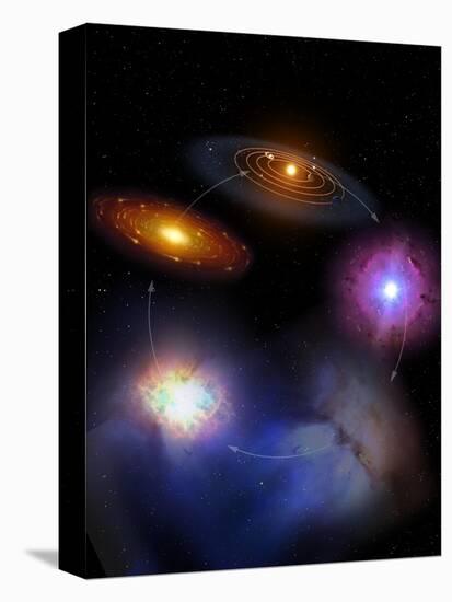 Stretched Canvas Print, , large
