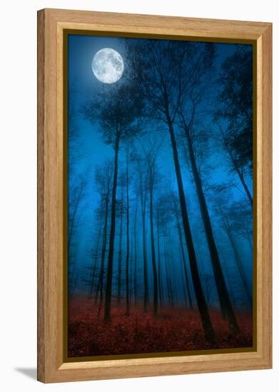 Dialogue with the moon-Philippe Sainte-Laudy-Framed Premier Image Canvas