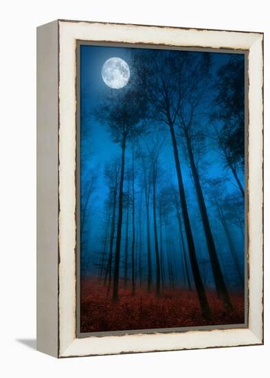 Dialogue with the moon-Philippe Sainte-Laudy-Framed Premier Image Canvas