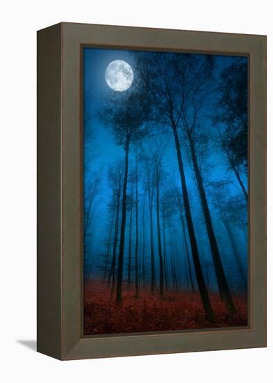 Dialogue with the moon-Philippe Sainte-Laudy-Framed Premier Image Canvas