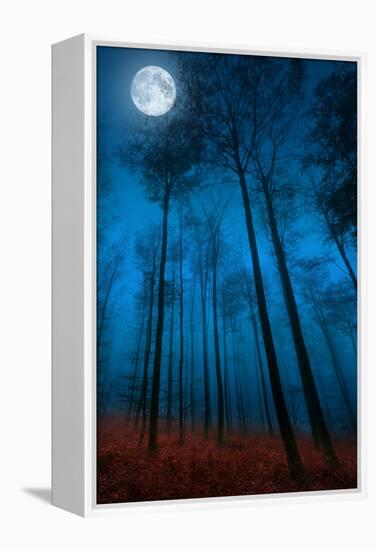 Dialogue with the moon-Philippe Sainte-Laudy-Framed Premier Image Canvas