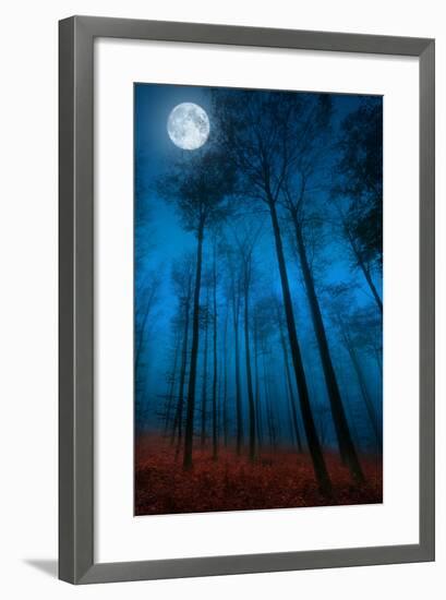 Dialogue with the moon-Philippe Sainte-Laudy-Framed Premium Photographic Print