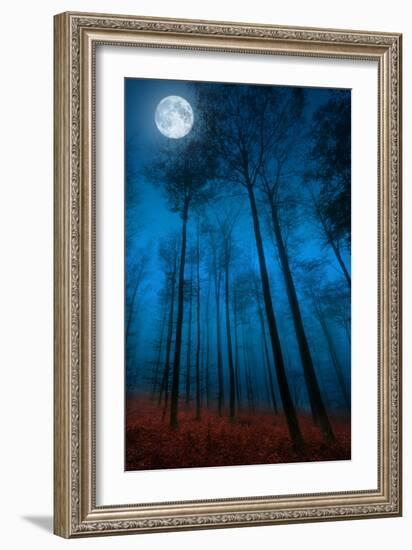 Dialogue with the moon-Philippe Sainte-Laudy-Framed Photographic Print