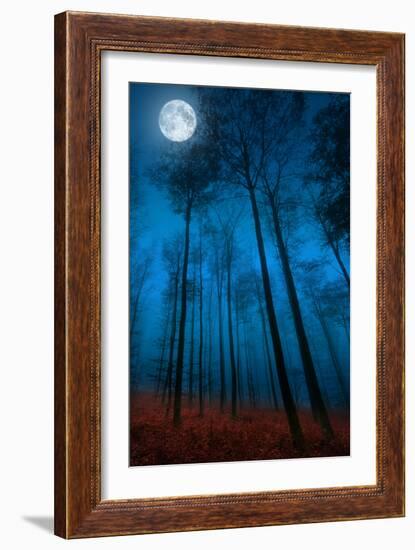 Dialogue with the moon-Philippe Sainte-Laudy-Framed Photographic Print