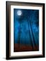 Dialogue with the moon-Philippe Sainte-Laudy-Framed Photographic Print
